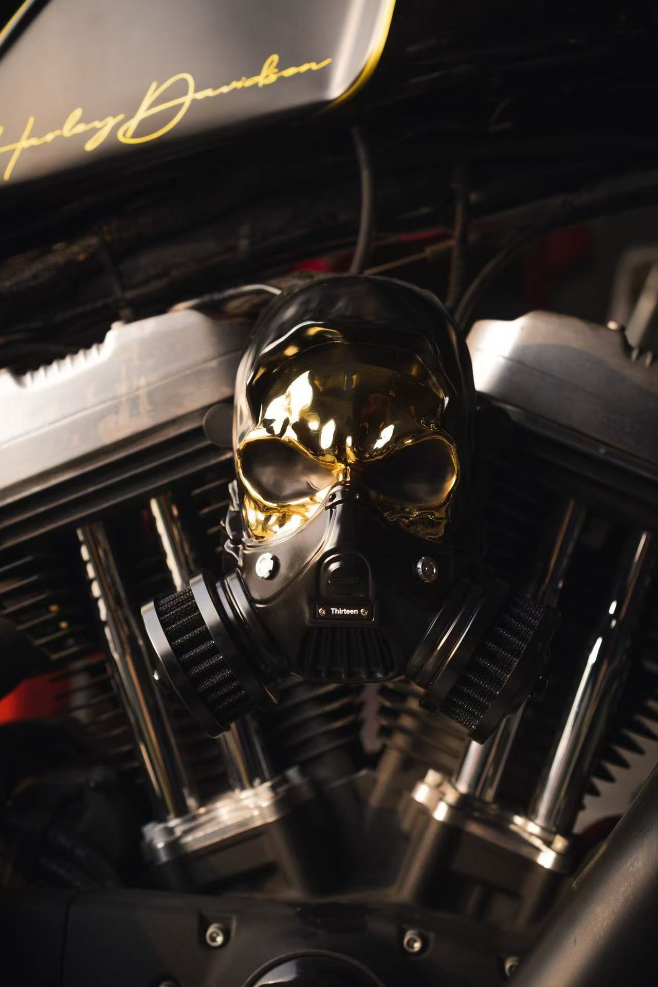 Custom Skull Air Filter Assembly (Multiple Colors Available)